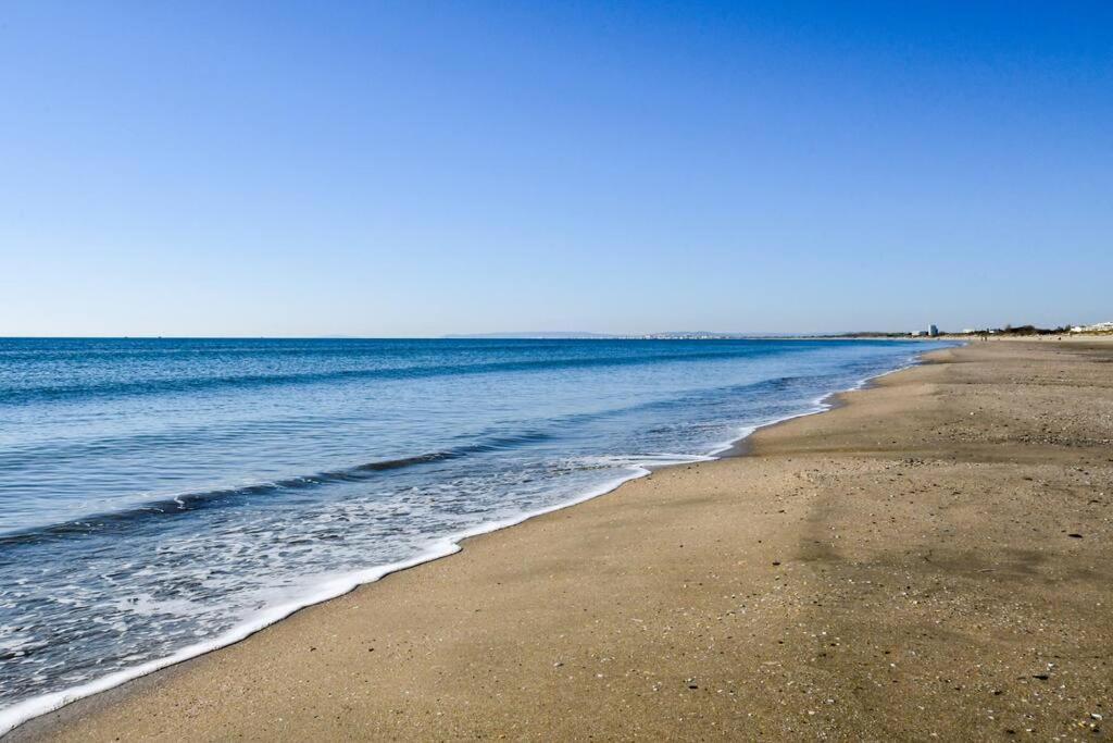 Le Murmure Du Palmier * Mer A 2 Min * Parking Prive * Terrasse Λα Γκραντ-Μοτ Εξωτερικό φωτογραφία